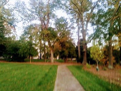 George Ivey Arboretum at Sally Foxx Park