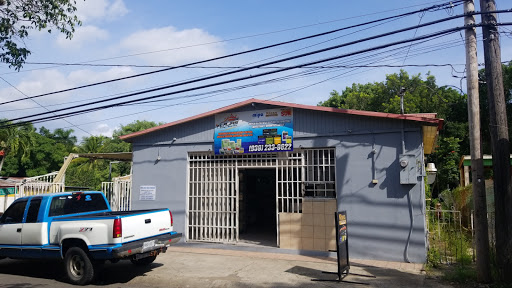Willys Paint Shop
