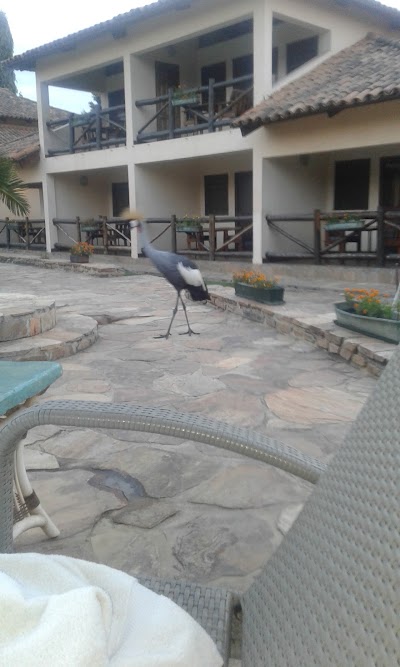Photos of Hotel La Palmerie