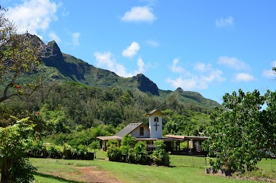 Moloaa Forest Reserve