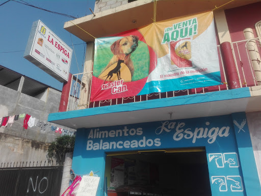 Alimentos Balanceado LA ESPIGA (MALTA CLEYTON)