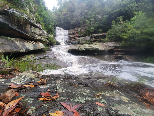 Oxford Falls Waterfall