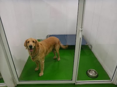 Photos of Woof