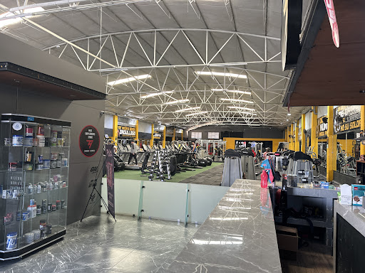 FURY Gym - Visual