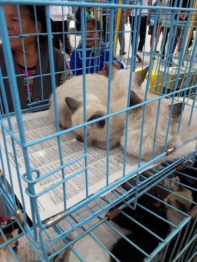 shopping-mall