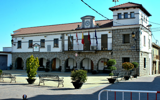 Ayuntamiento De Zarzuela Del Monte - Thumbnail