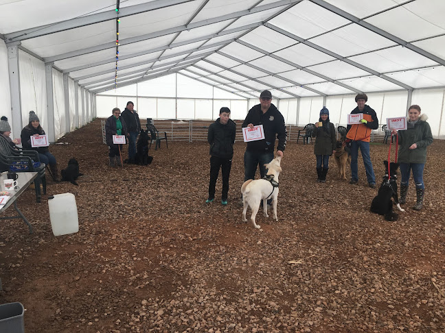 Reviews of The Family Dog Club in Southampton - Dog trainer