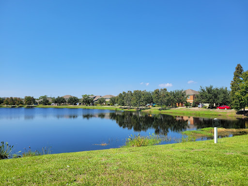 Apollo Beach Publishing - Visual