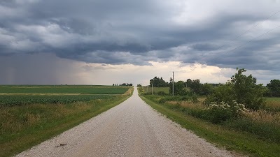 Irwin Avenue Stream