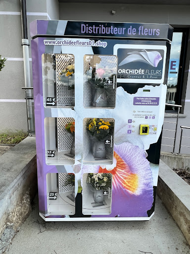 Orchidée fleurs/évent - Thumbnail