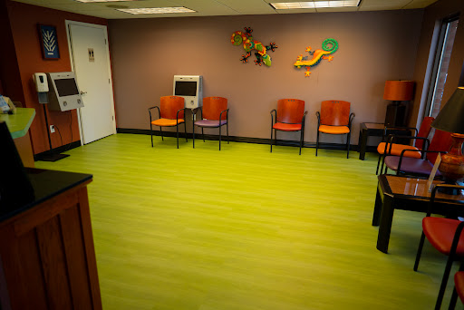 Wild About Smiles! Pediatric Dentistry Gallery - United States