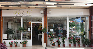 Photo n°33 de CENTRE COMMERCIAL VAL DE SEINE à Vernouillet (Centre commercial)