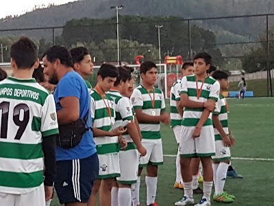 Photos of Estadio Turingia