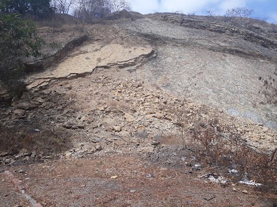 Photos of Bellavista Park