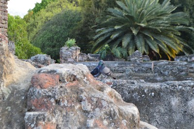 Photos of Hotel Las Piletas