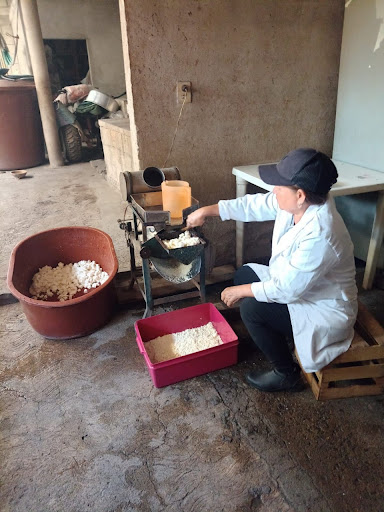ELABORACION Y VENTA DE QUESOS NICANOR