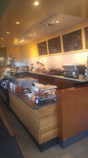 The Java Garden - Visual