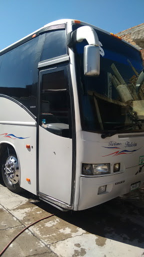 Turismo Halcón - Visual