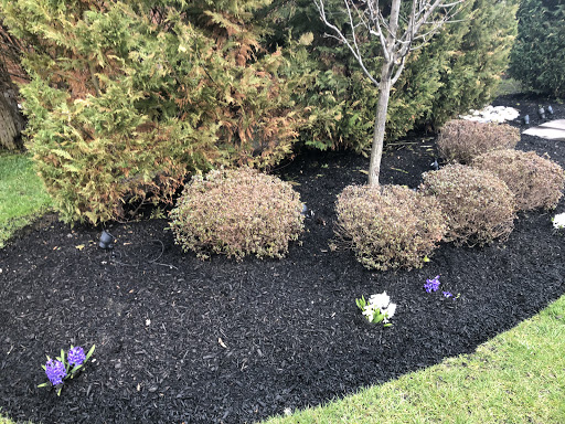 Avatar for Bedrock Contractors