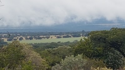 Photos of Deo Juvante Lodge