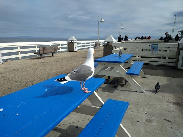 Santa Cruz Wharf