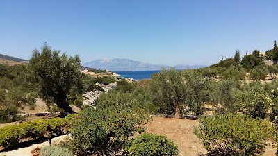 Photos of Climati Studios