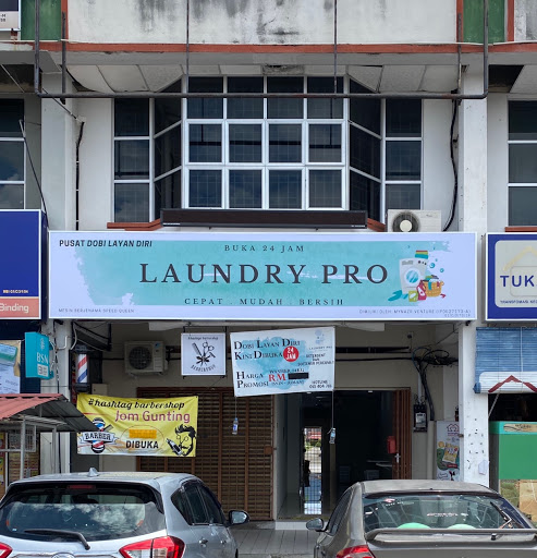 Laundry Pro