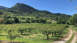 Photo n°3 de camping les ôliviers à Sahune (Terrain de camping)