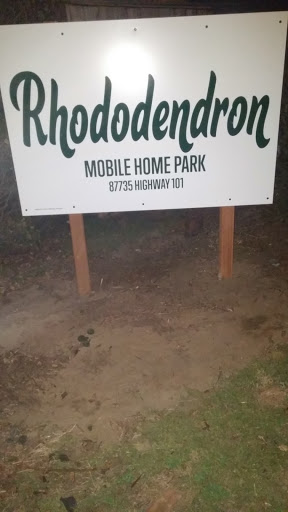 Rhododendron - Visual