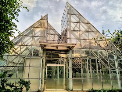 Photos of Taman Menteng