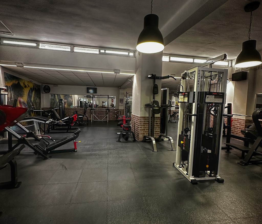 Palestra Fitness Gym