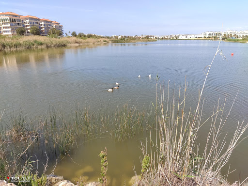 Lago Victoria(Guardias viejas) - Thumbnail