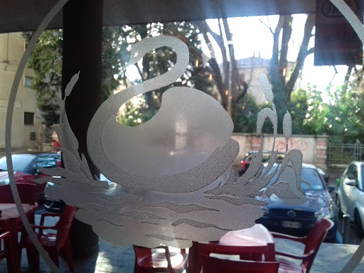 Bar cigno - Visual