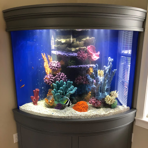 RocknReefs, Inc - Thumbnail