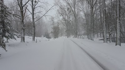 Photos of Parc l'Ile d'Amour