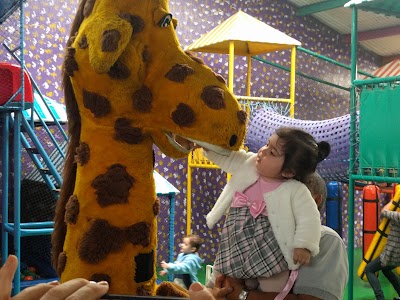 Photos of Playground Giraffe