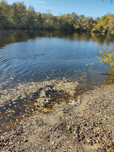 Weiher bei Hanhofen