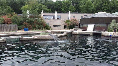 Photos of Dolphinarium in the zoo of Nuremberg