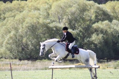 Photos of Hare Hill Horse Treks