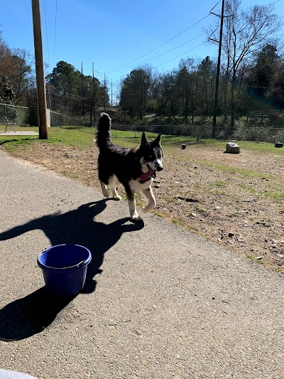 Hot Springs Bark Park