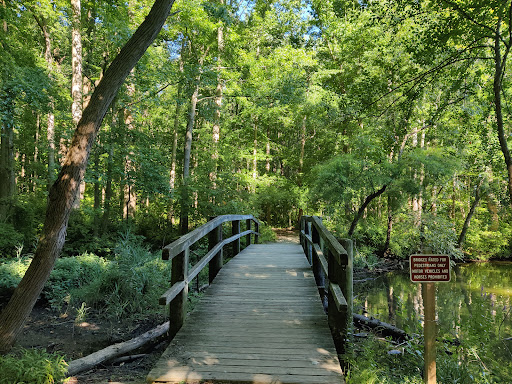 Lums Pond Area 4 - Thumbnail