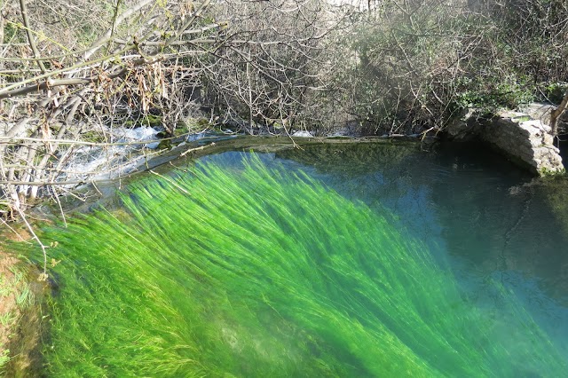 Grotte de Clamouse