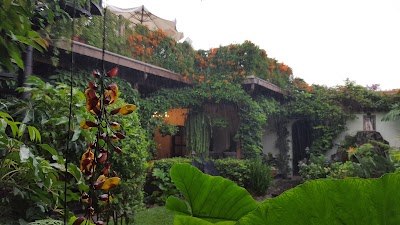 Photos of Hotel La Catedral