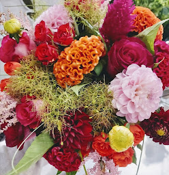 Photo n°29 de Monceau Fleurs à La Roche-sur-Yon (Boutique de cadeaux)