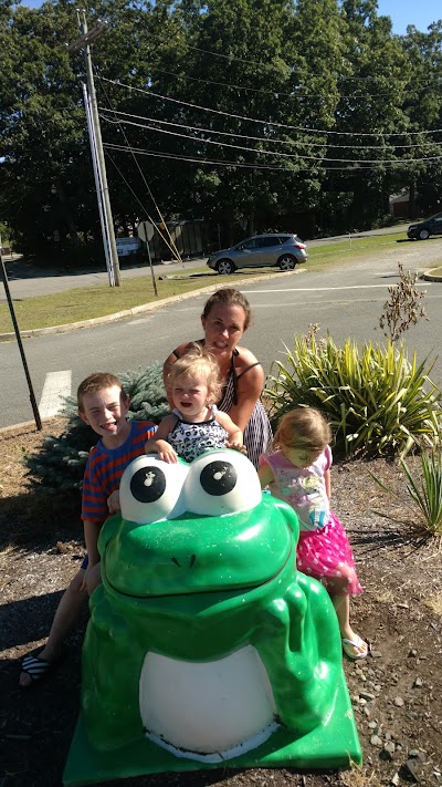 Frog Falls Aquatic Park