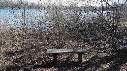 Jeptha Lake Fen - Thumbnail