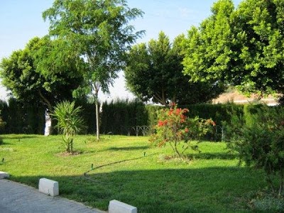 Photos of ASPROMANIS SERVICIOS S.L.U.