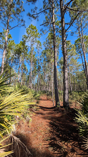 Bluffton Interpretative Trail - Visual
