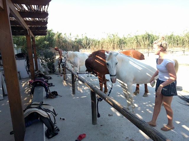 Naxos Horseriding Club
