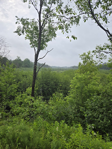 White Pine Trail Parking - Cadillac - Thumbnail